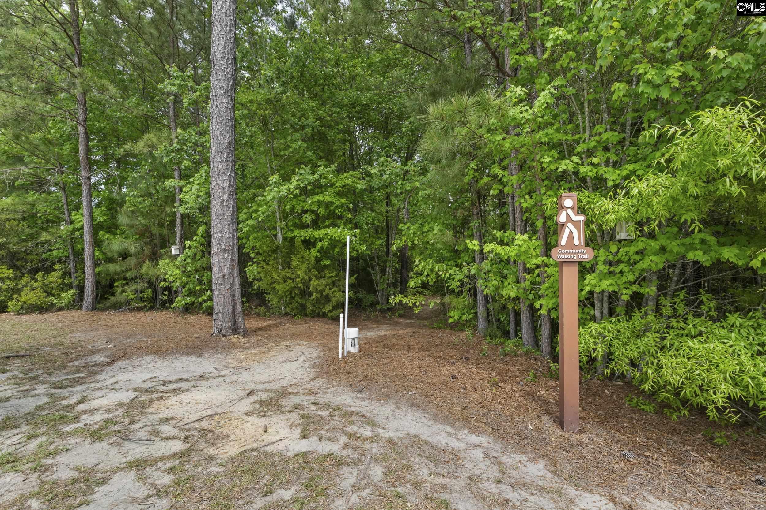 432 Sapphire Lane Chapin, SC 29036