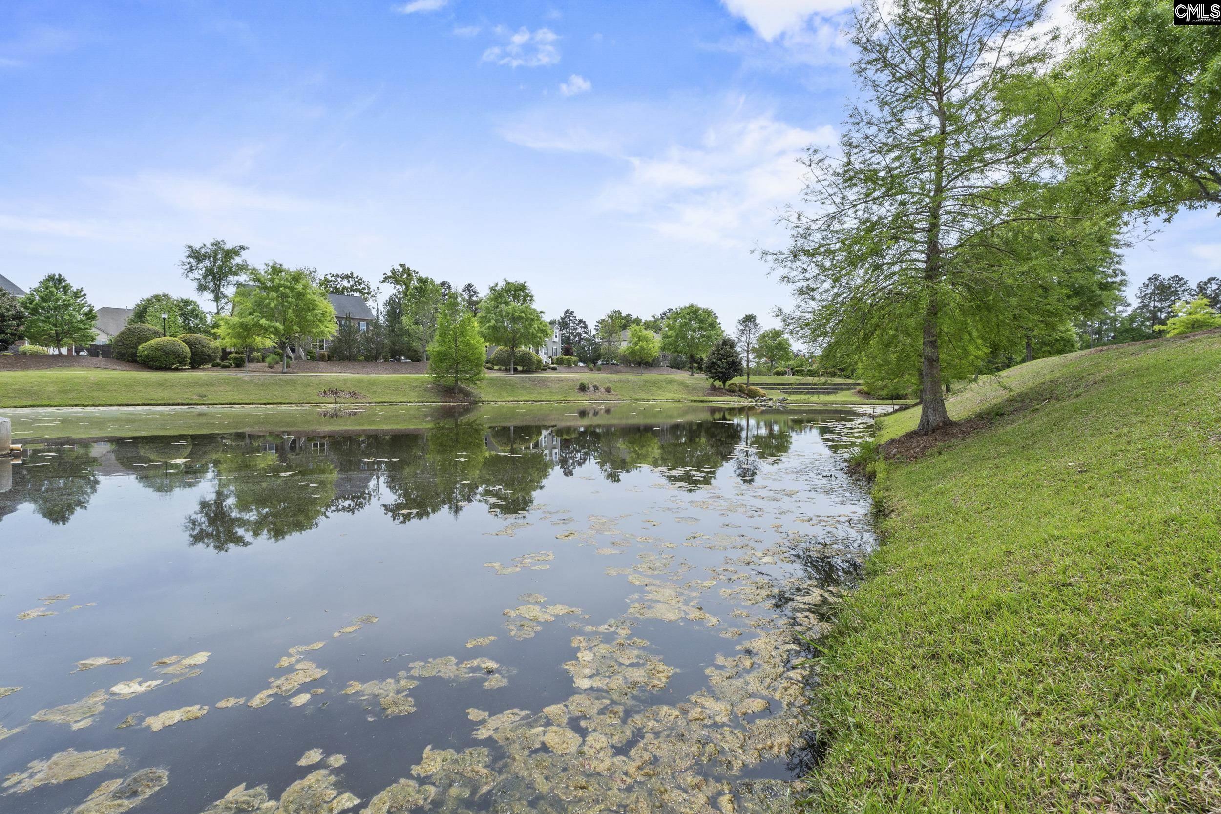 432 Sapphire Lane Chapin, SC 29036