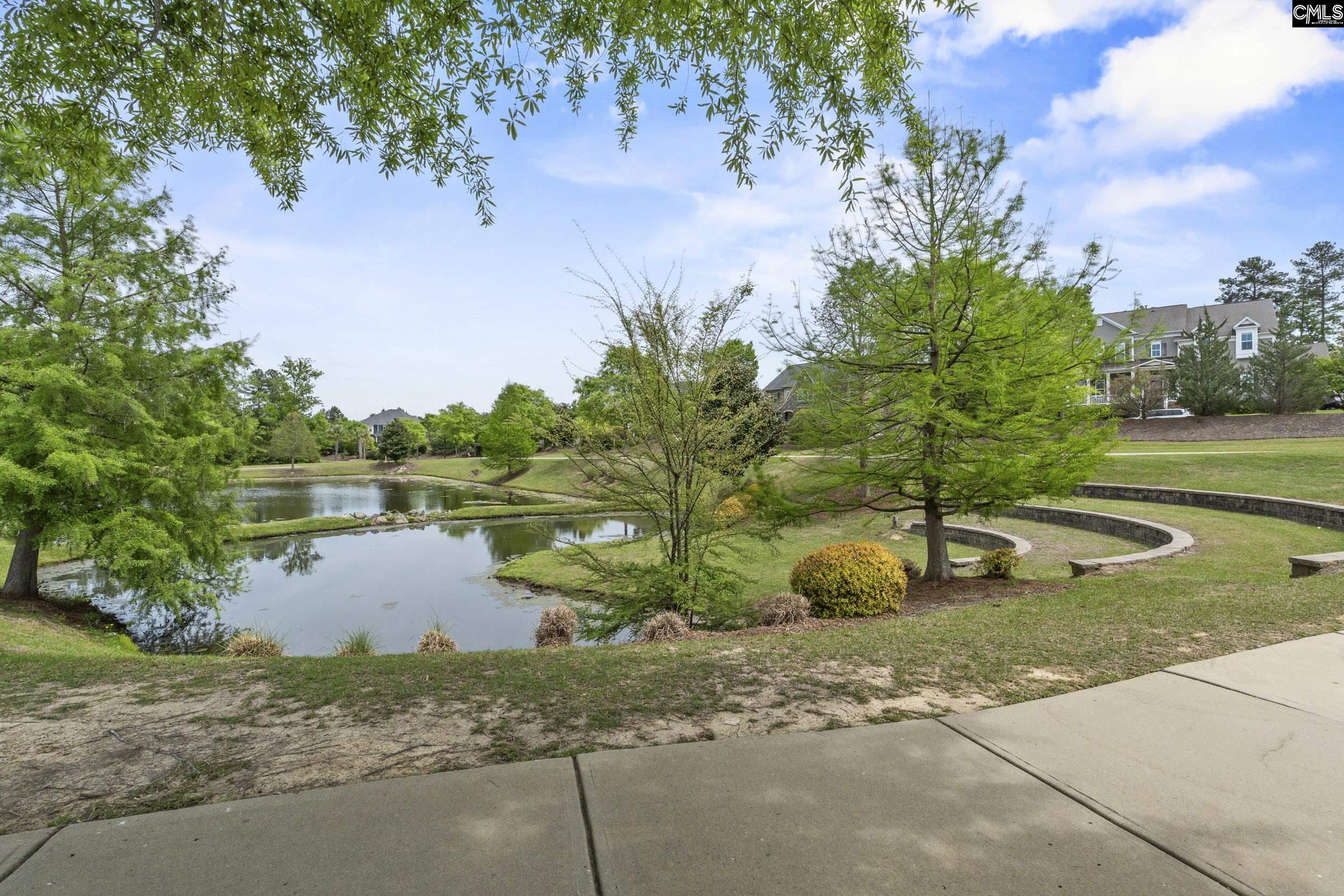 432 Sapphire Lane Chapin, SC 29036