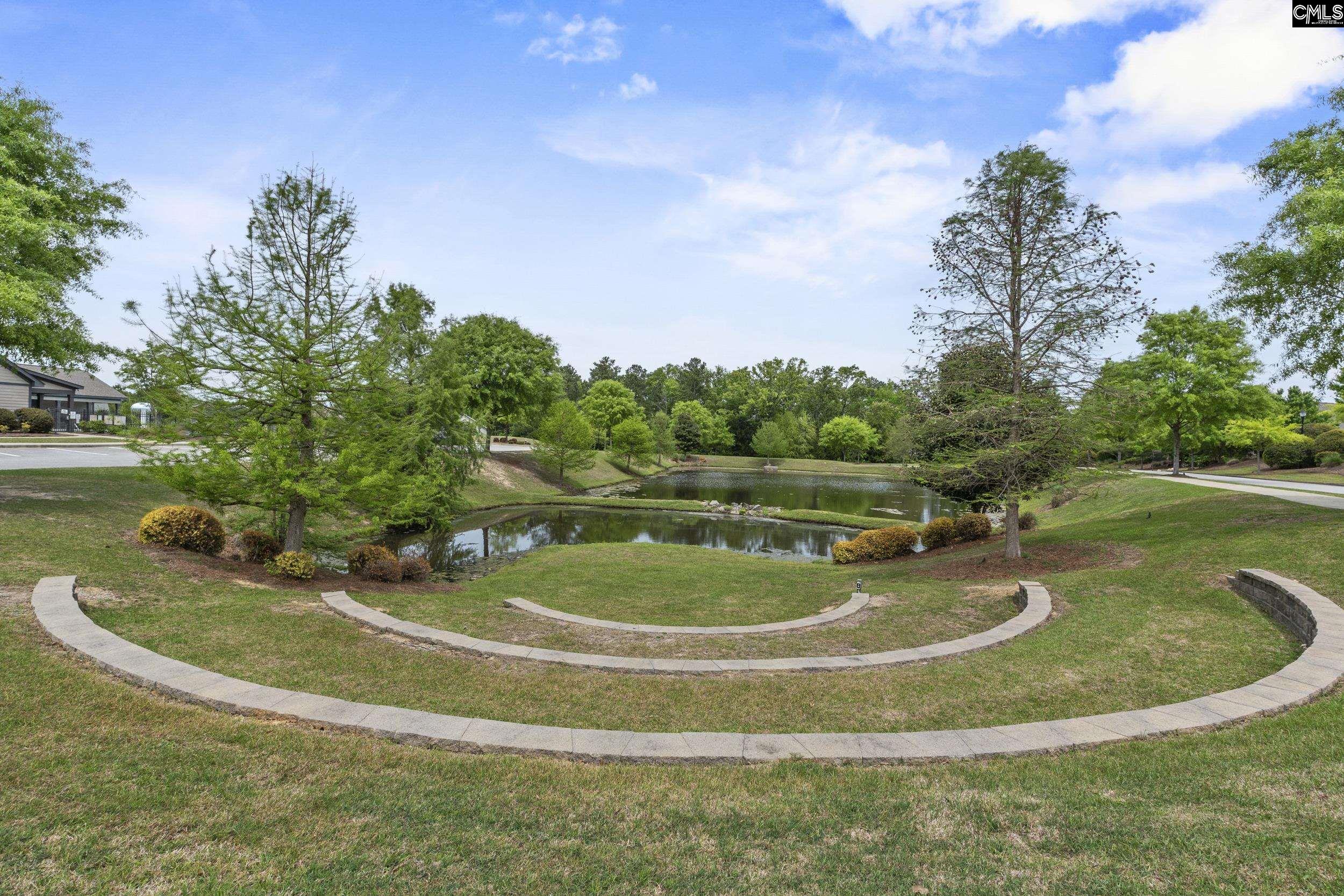 432 Sapphire Lane Chapin, SC 29036