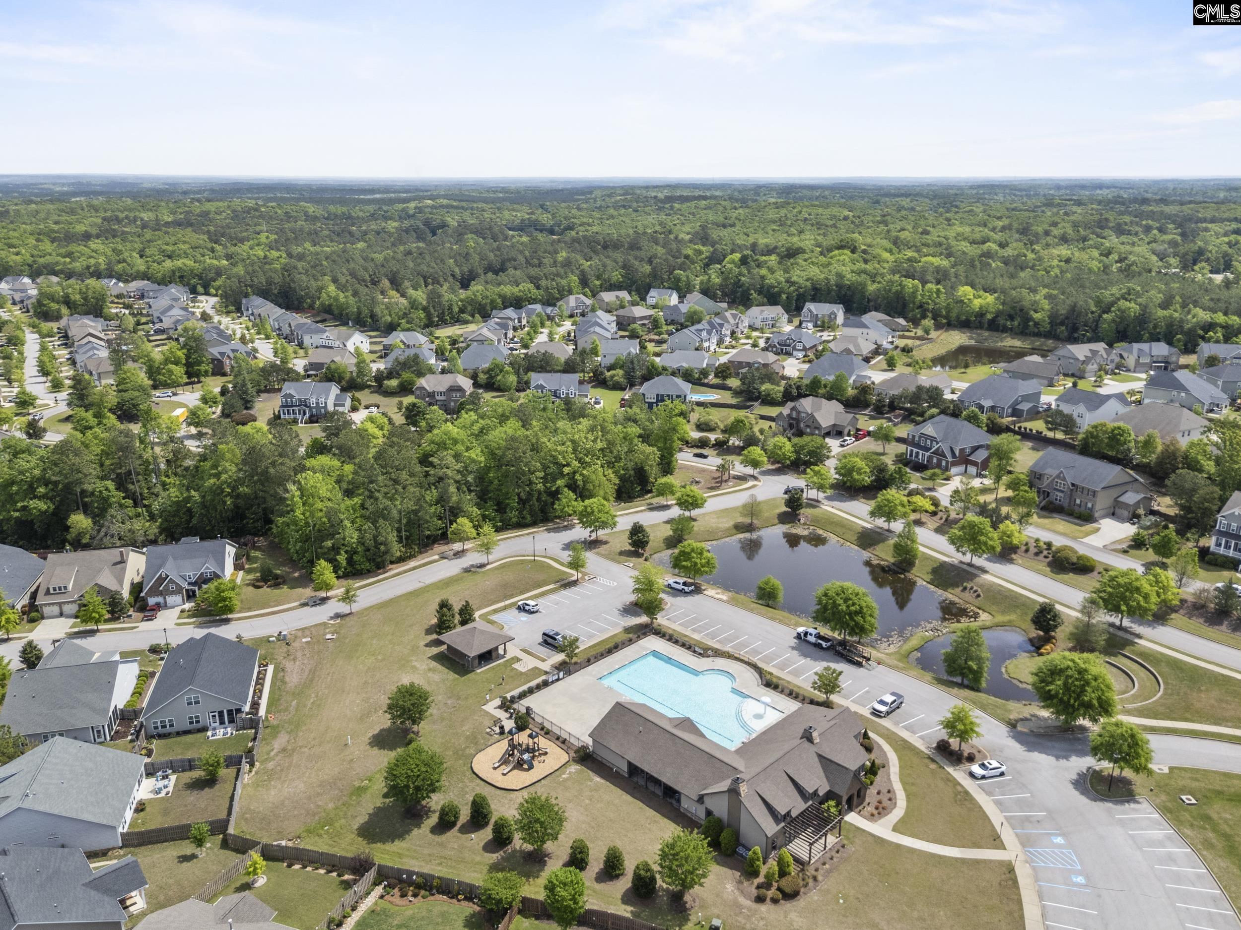 432 Sapphire Lane Chapin, SC 29036