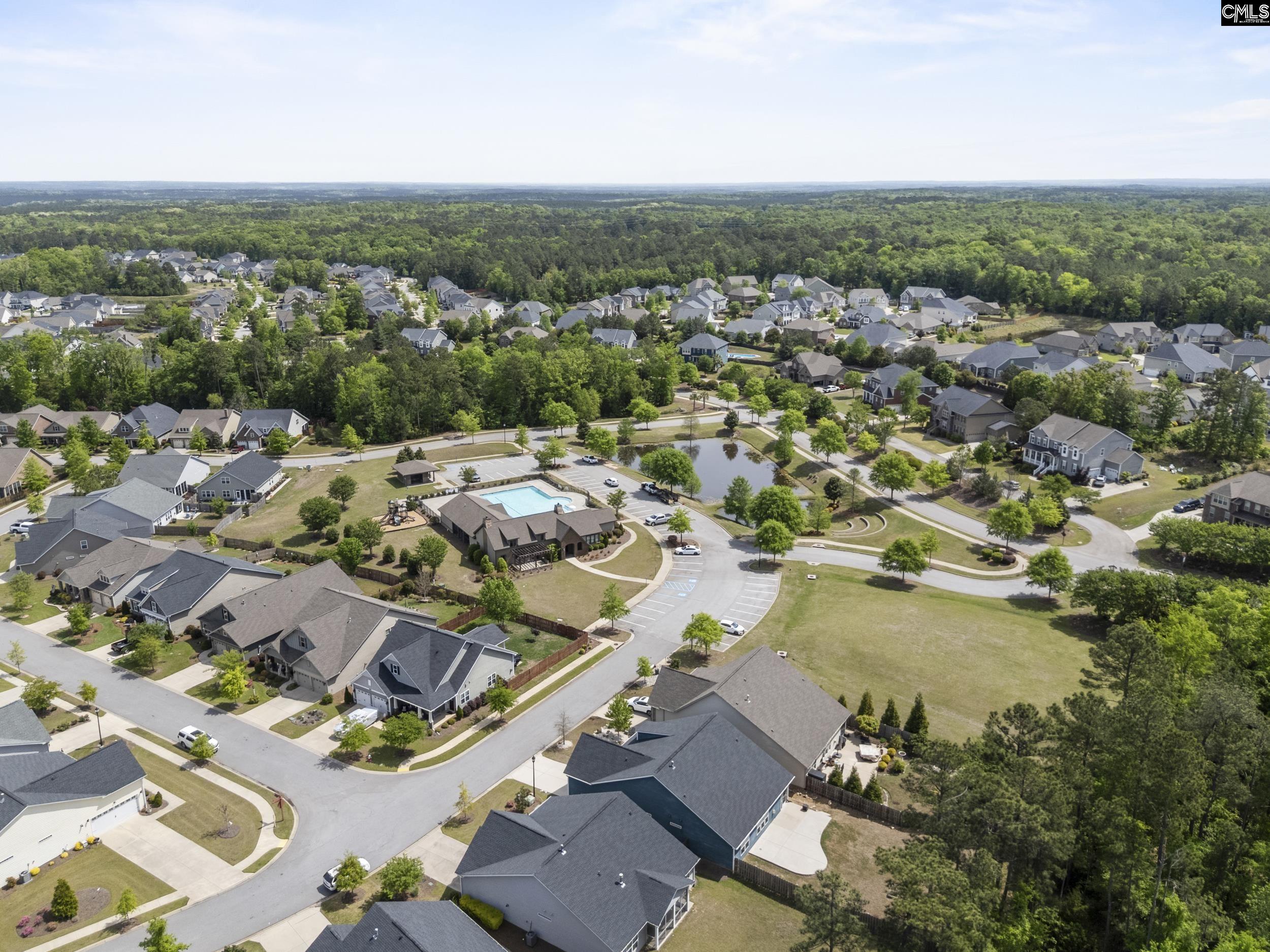 432 Sapphire Lane Chapin, SC 29036