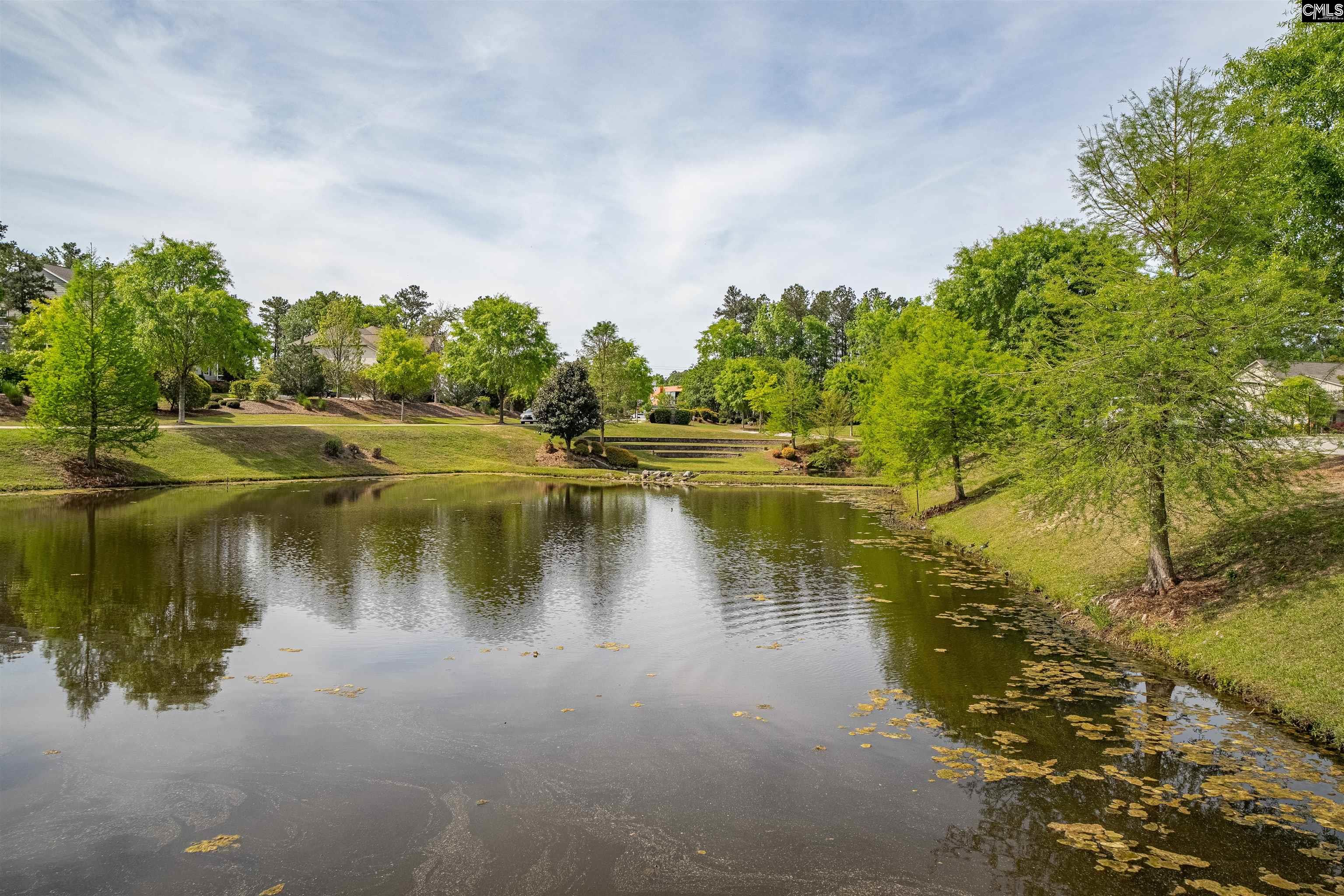 155 Almofini Lane Chapin, SC 29036