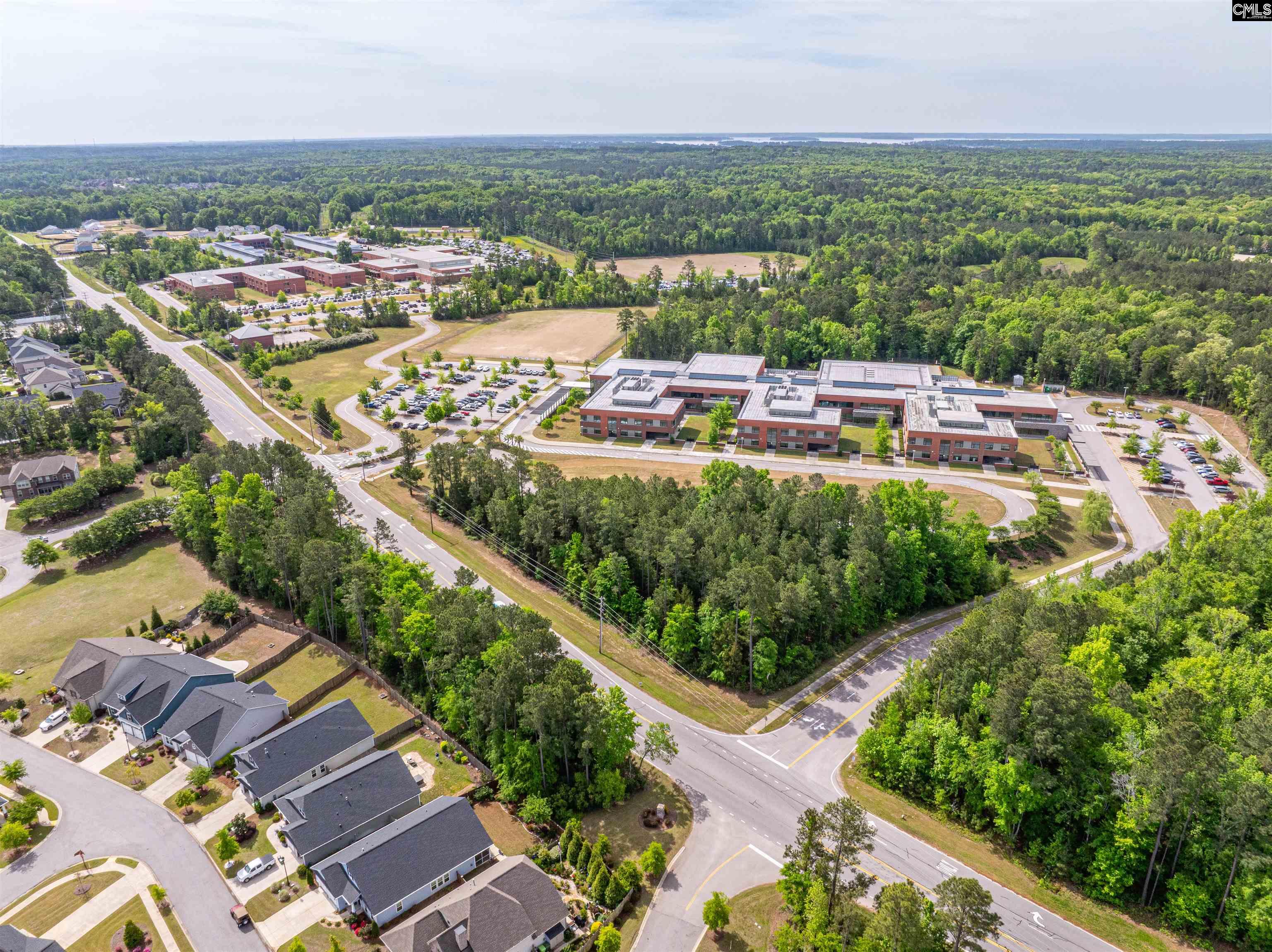 155 Almofini Lane Chapin, SC 29036