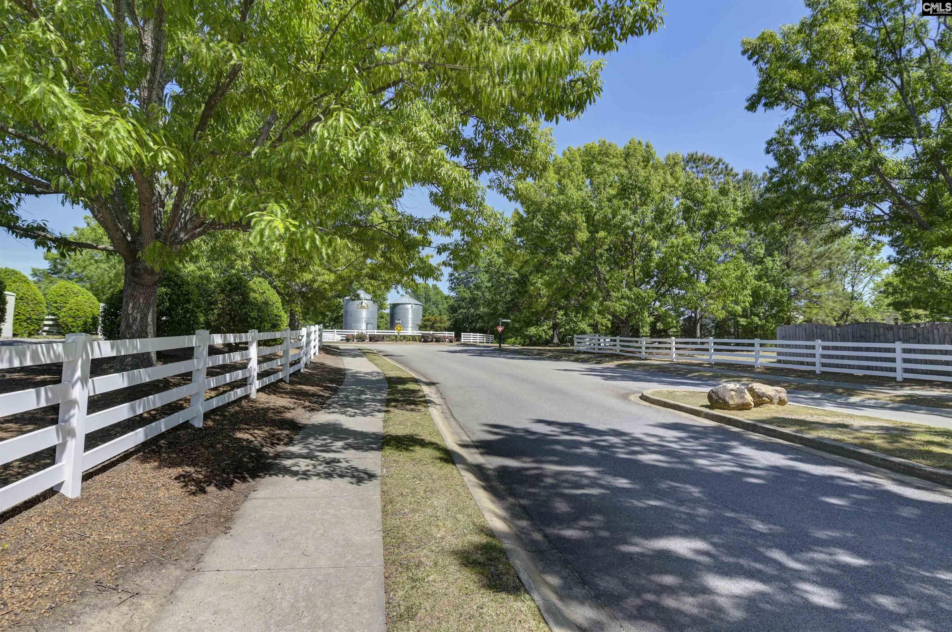 207 Bantam Place Lexington, SC 29072
