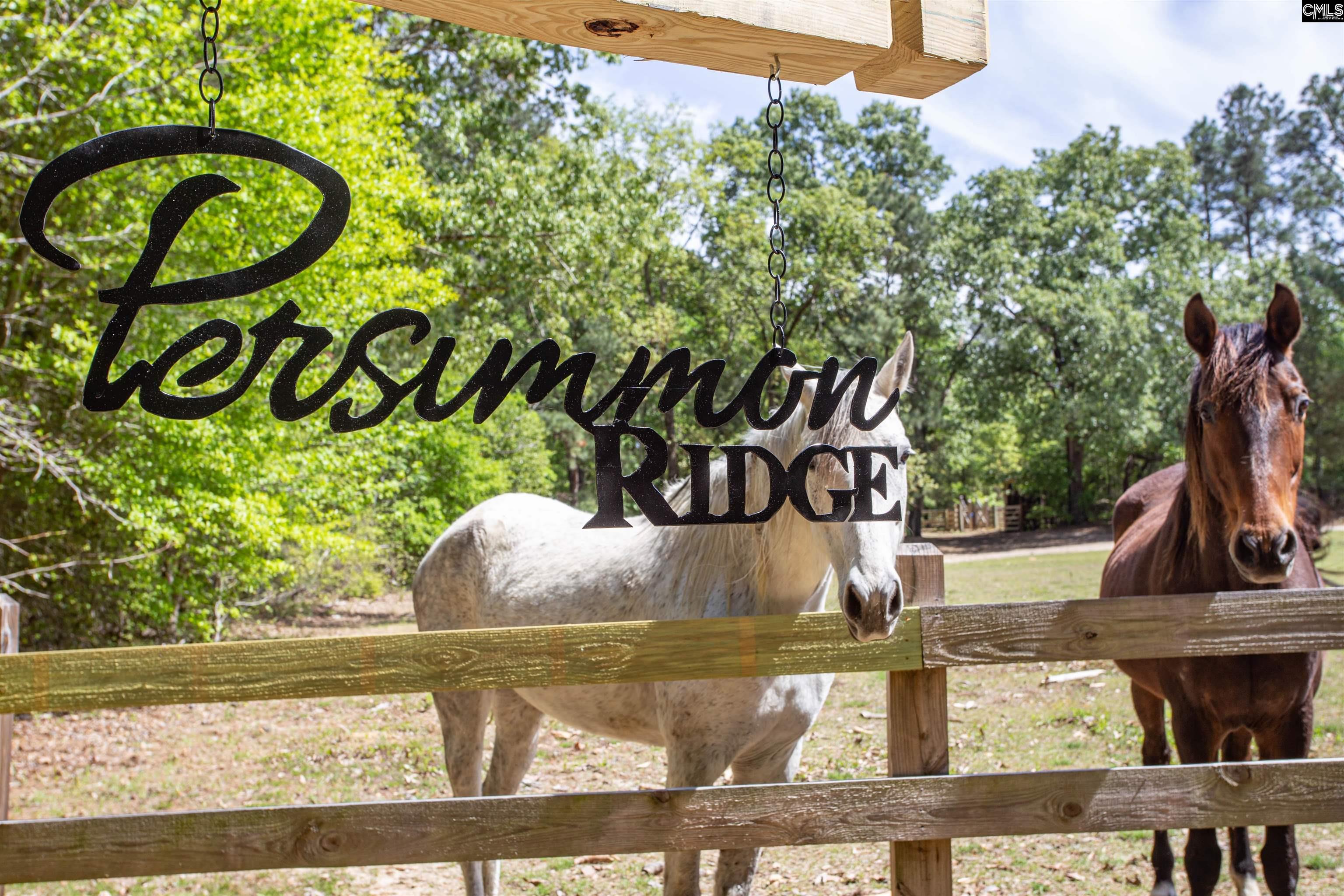 146 Williams Road Camden, SC 29020-0000