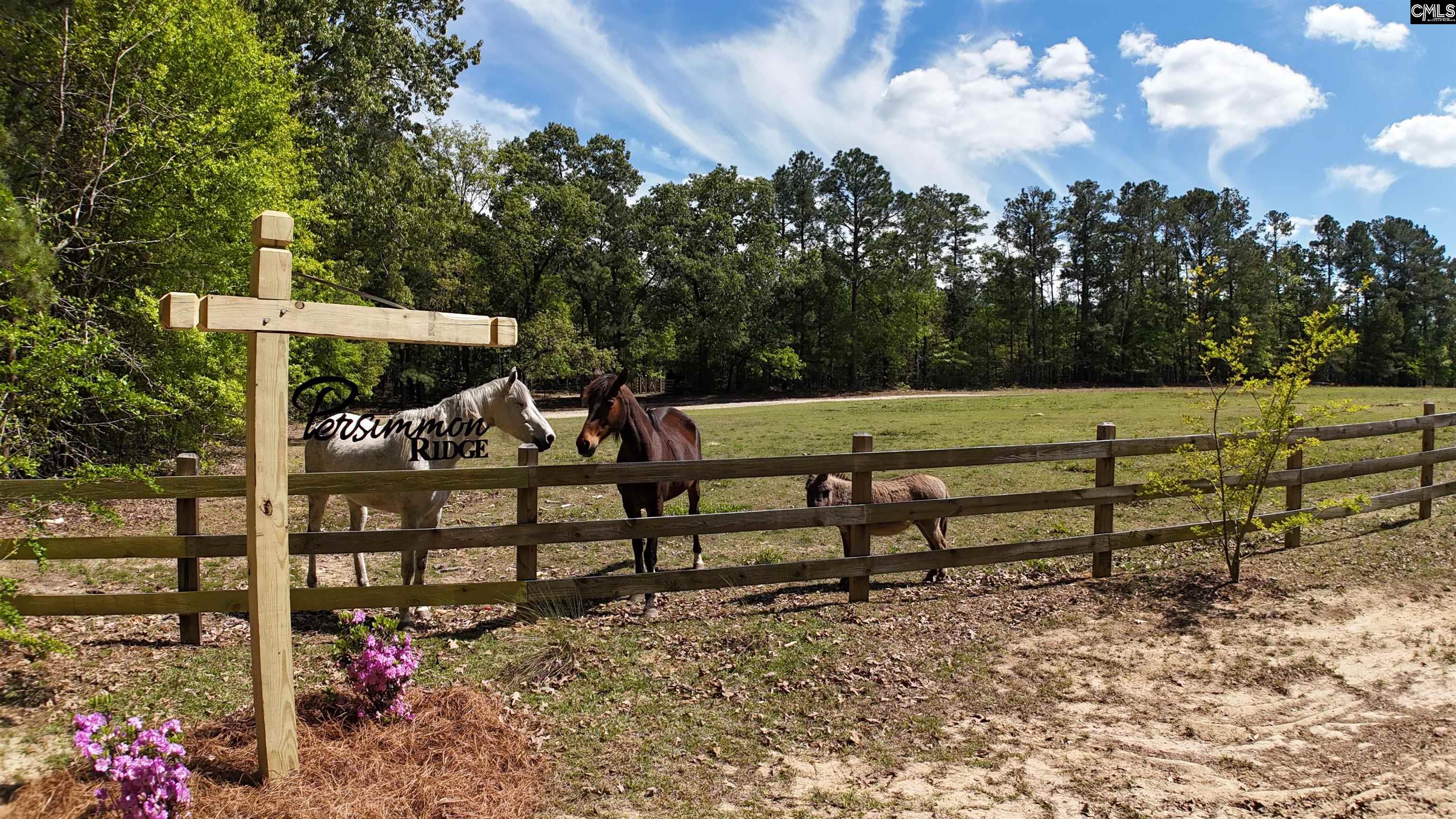 146 Williams Road Camden, SC 29020-0000
