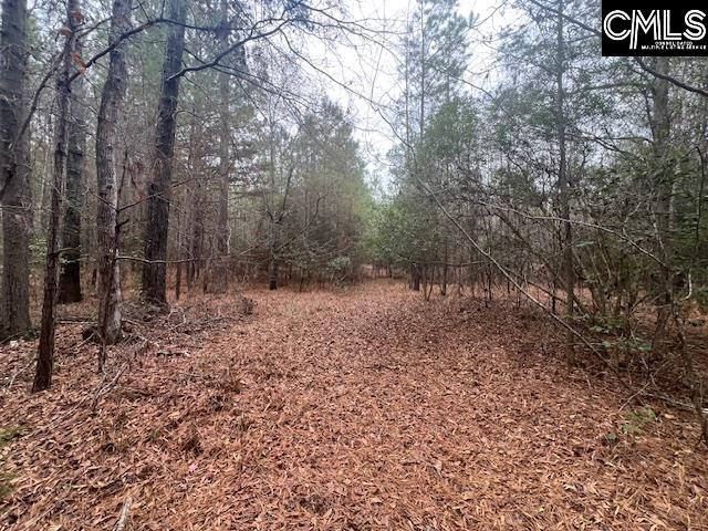 1128 Tookie Doo Avenue Elgin, SC 29045