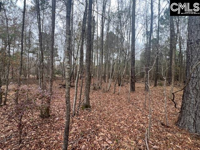 1128 Tookie Doo Avenue Elgin, SC 29045