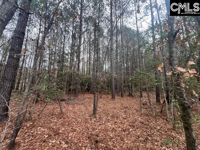 1128 Tookie Doo Avenue Elgin, SC 29045