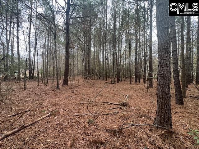 1128 Tookie Doo Avenue Elgin, SC 29045