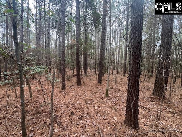 1128 Tookie Doo Avenue Elgin, SC 29045