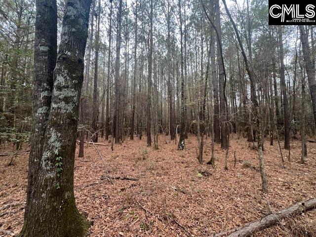 1128 Tookie Doo Avenue Elgin, SC 29045