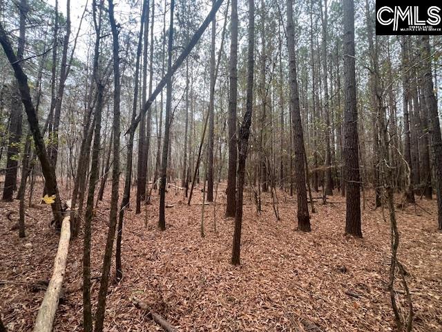 1128 Tookie Doo Avenue Elgin, SC 29045