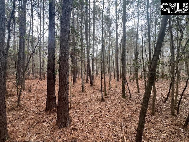1128 Tookie Doo Avenue Elgin, SC 29045