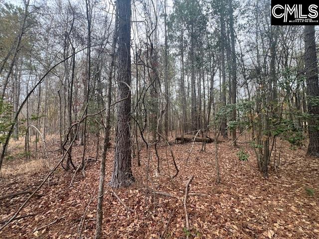 1128 Tookie Doo Avenue Elgin, SC 29045