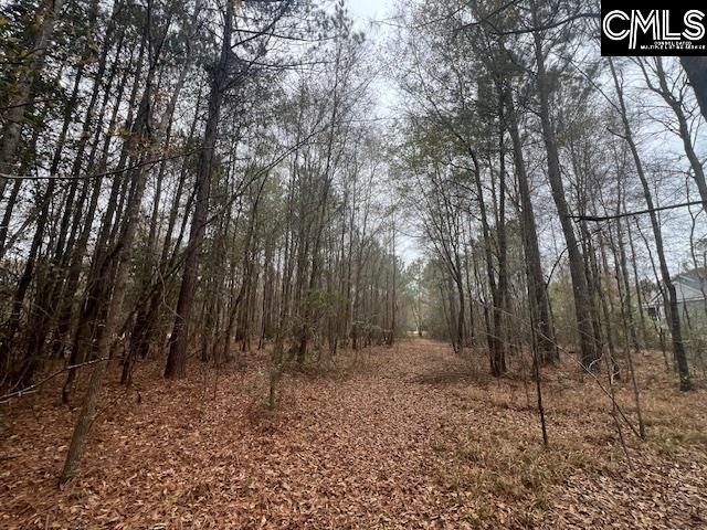 1128 Tookie Doo Avenue Elgin, SC 29045