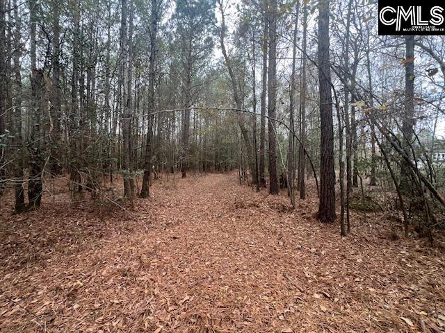 1128 Tookie Doo Avenue Elgin, SC 29045