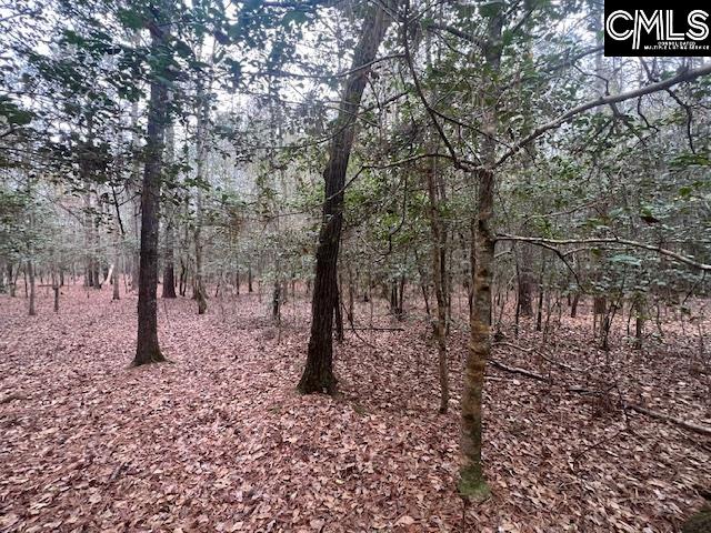 1128 Tookie Doo Avenue Elgin, SC 29045
