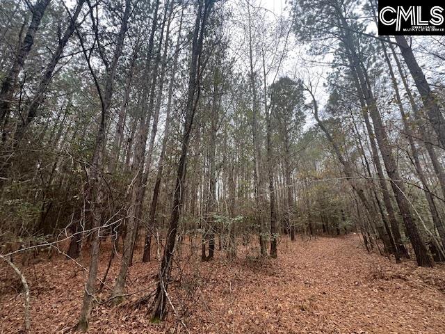1128 Tookie Doo Avenue Elgin, SC 29045