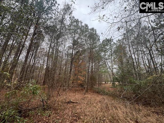 1128 Tookie Doo Avenue Elgin, SC 29045