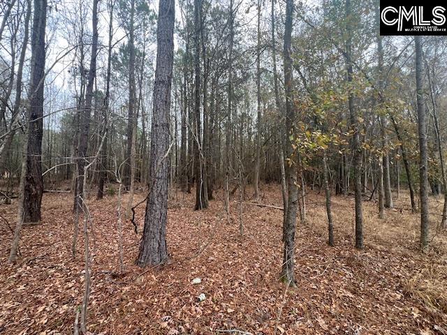 1128 Tookie Doo Avenue Elgin, SC 29045