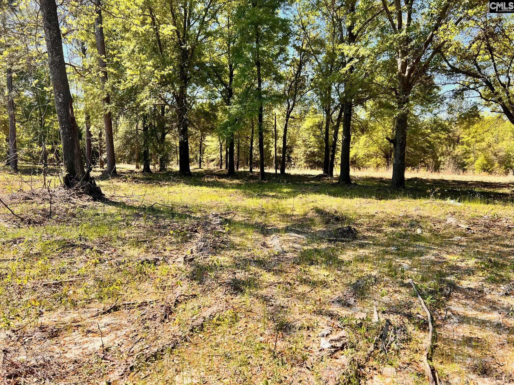 Shadow Shadow Lane UNIT A Wagener, SC 29164