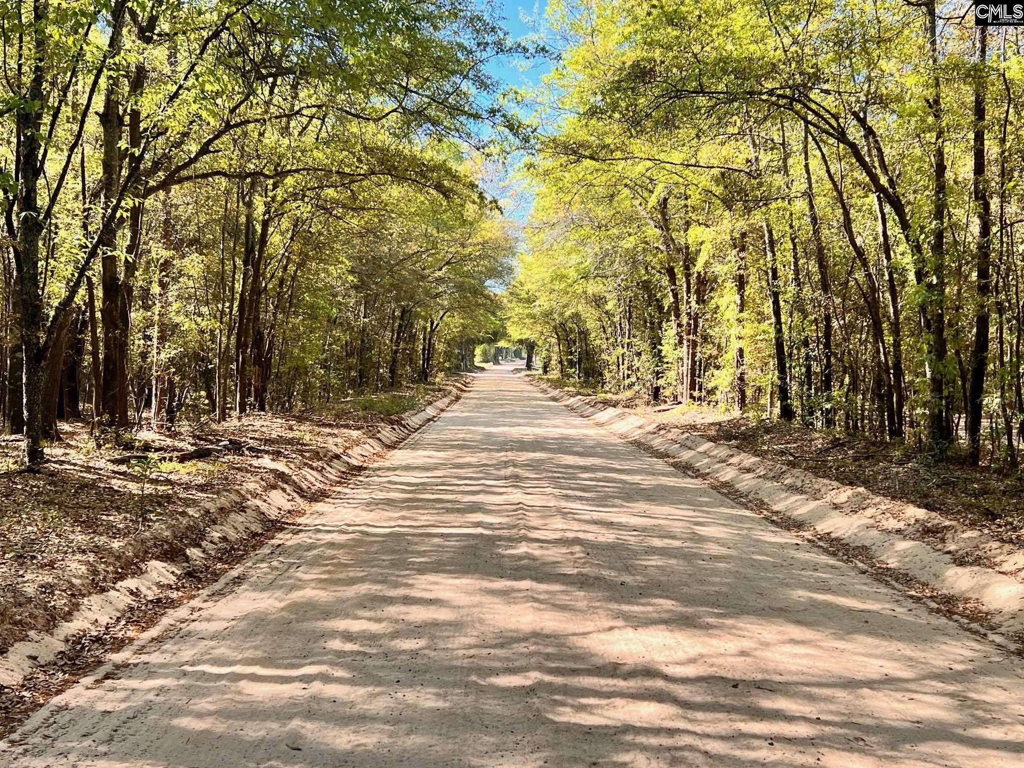 Shadow Shadow Lane UNIT A Wagener, SC 29164