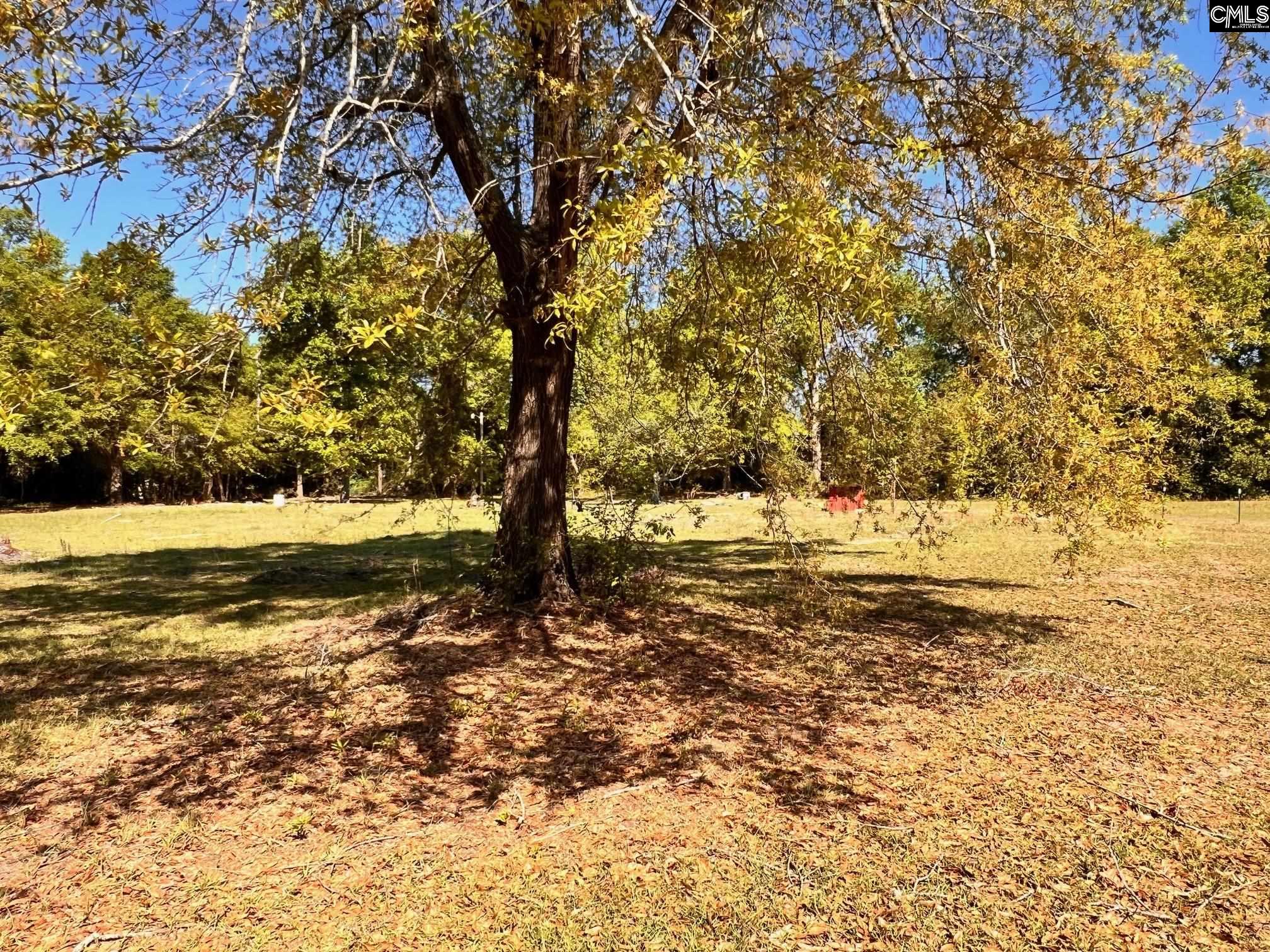 Shadow Lane UNIT B Wagener, SC 29164