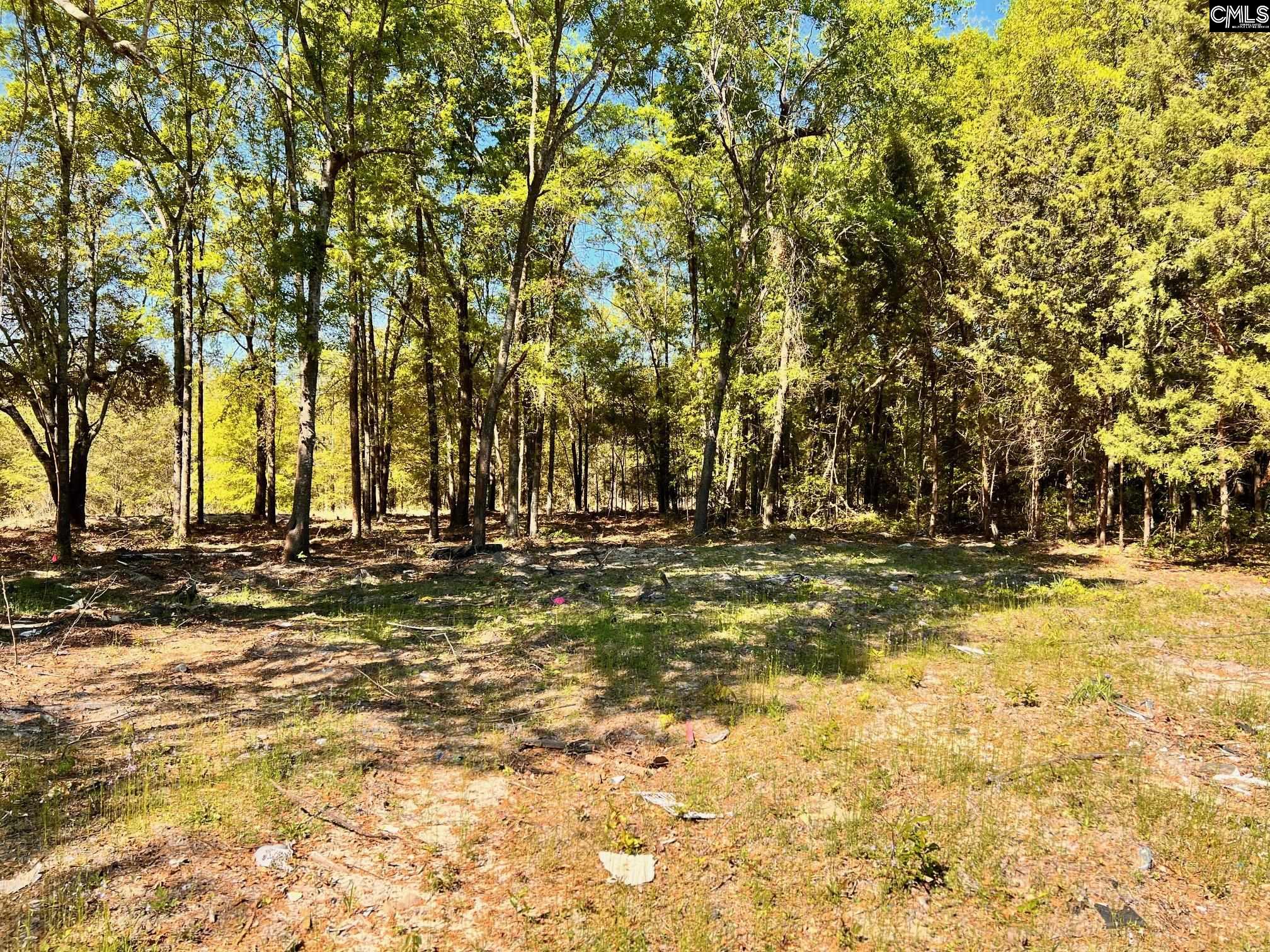 Shadow Lane UNIT B Wagener, SC 29164