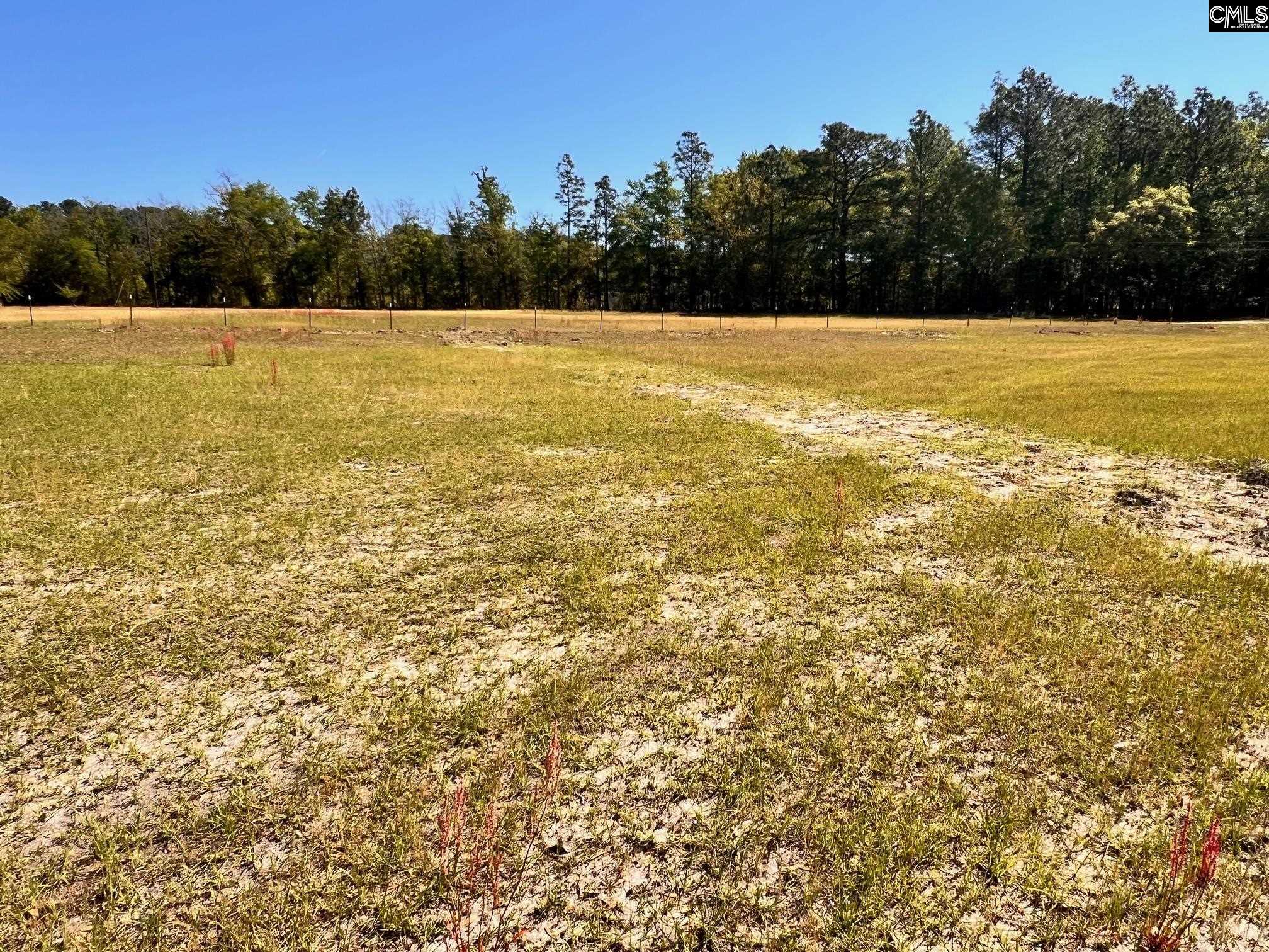 Shadow Lane UNIT B Wagener, SC 29164