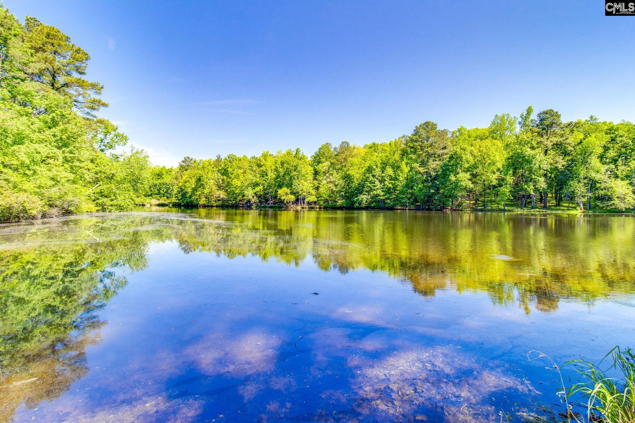 1016 Old Birch Blythewood, SC 29016