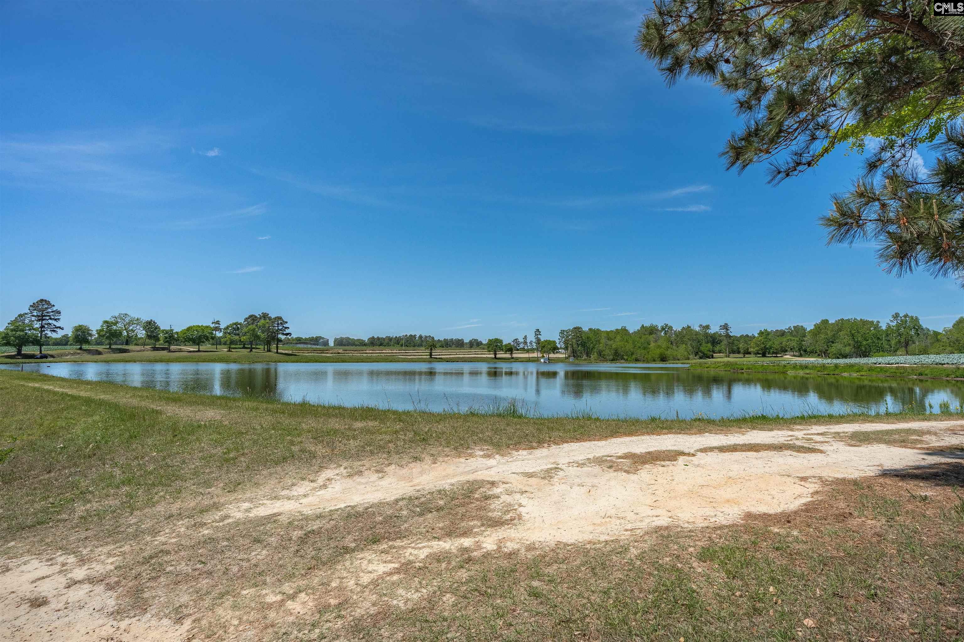 225 Burma Road Lexington, SC 29072
