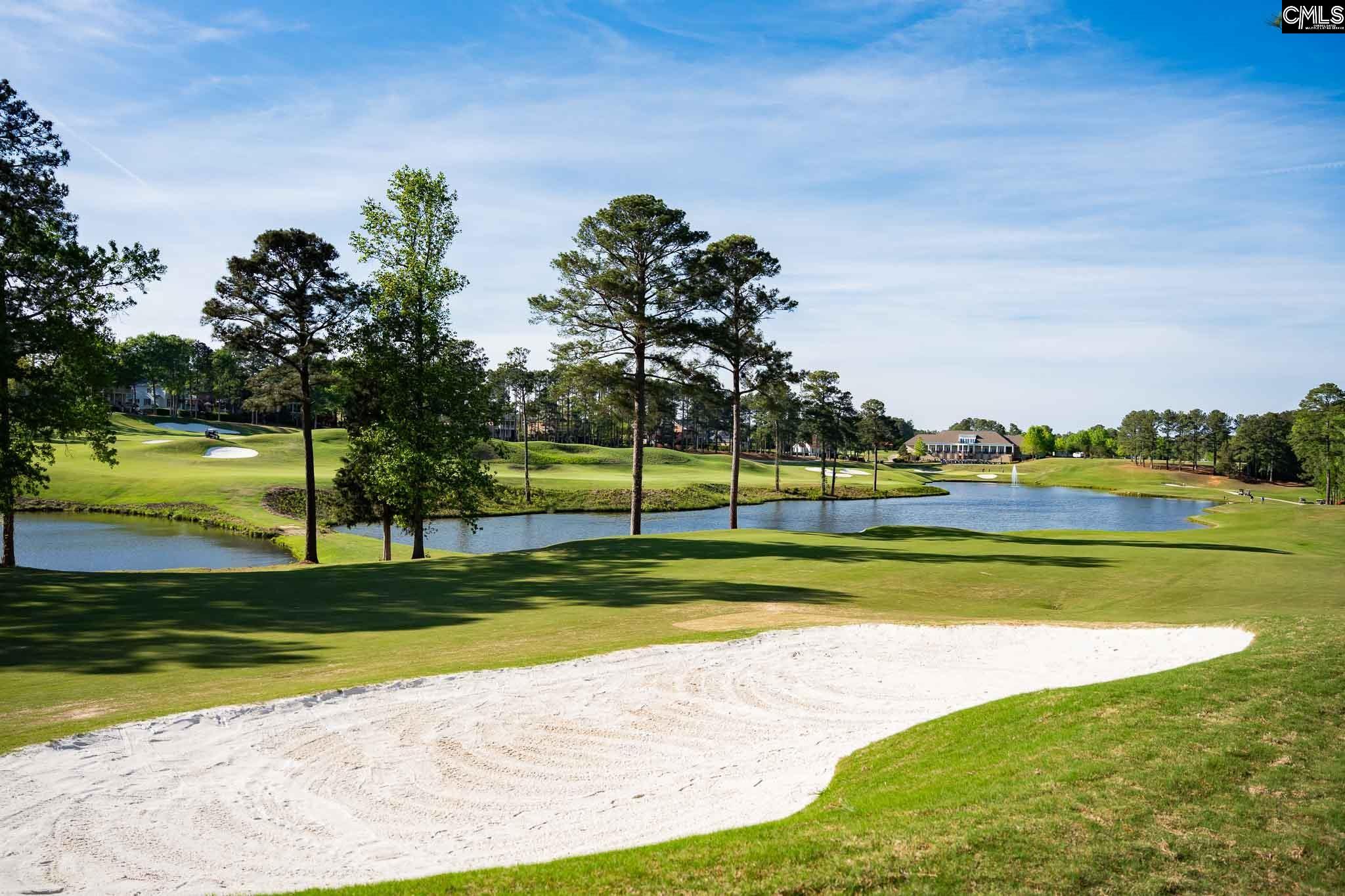 725 Coriander Road Blythewood, SC 29016