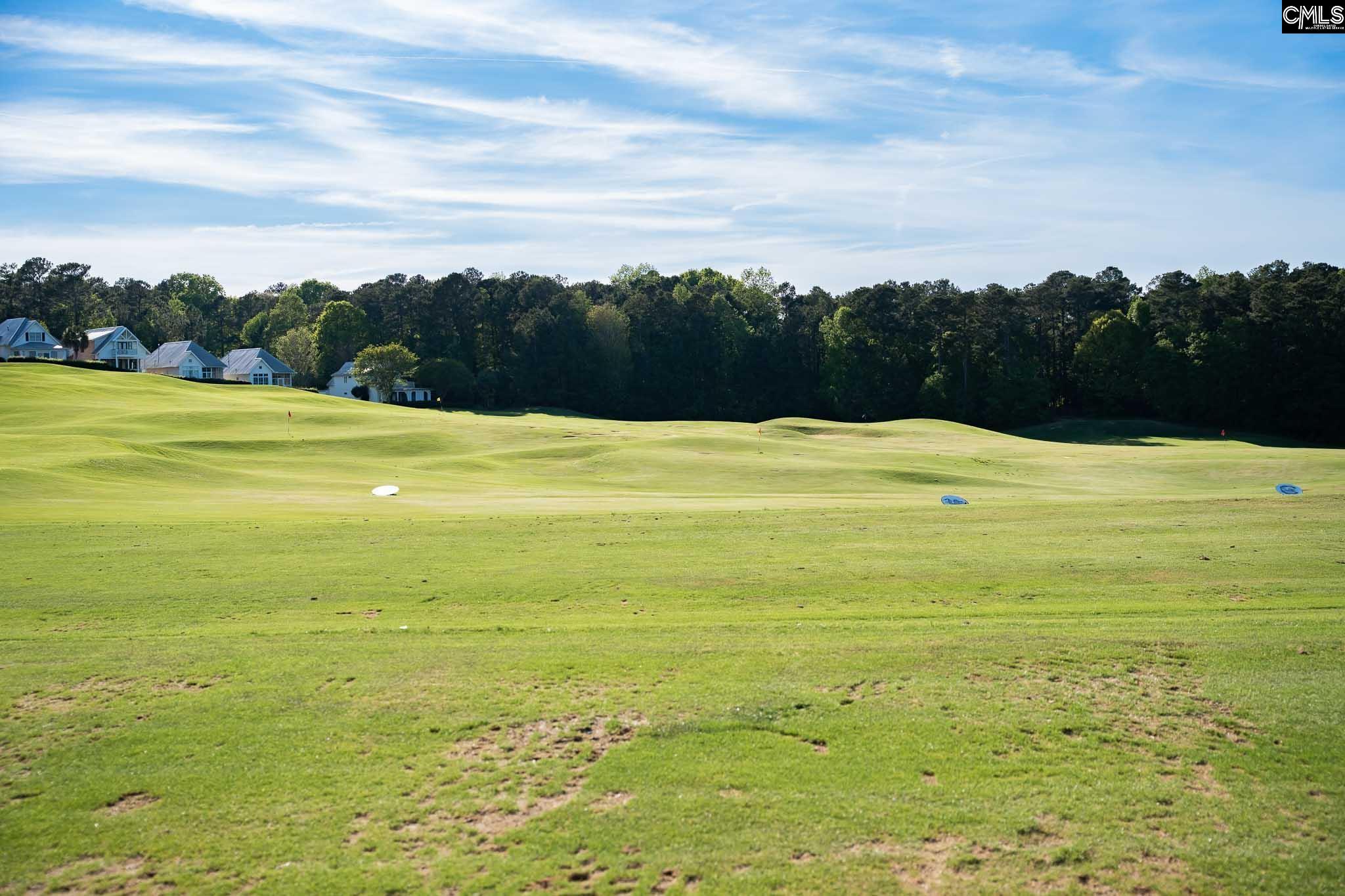 725 Coriander Road Blythewood, SC 29016