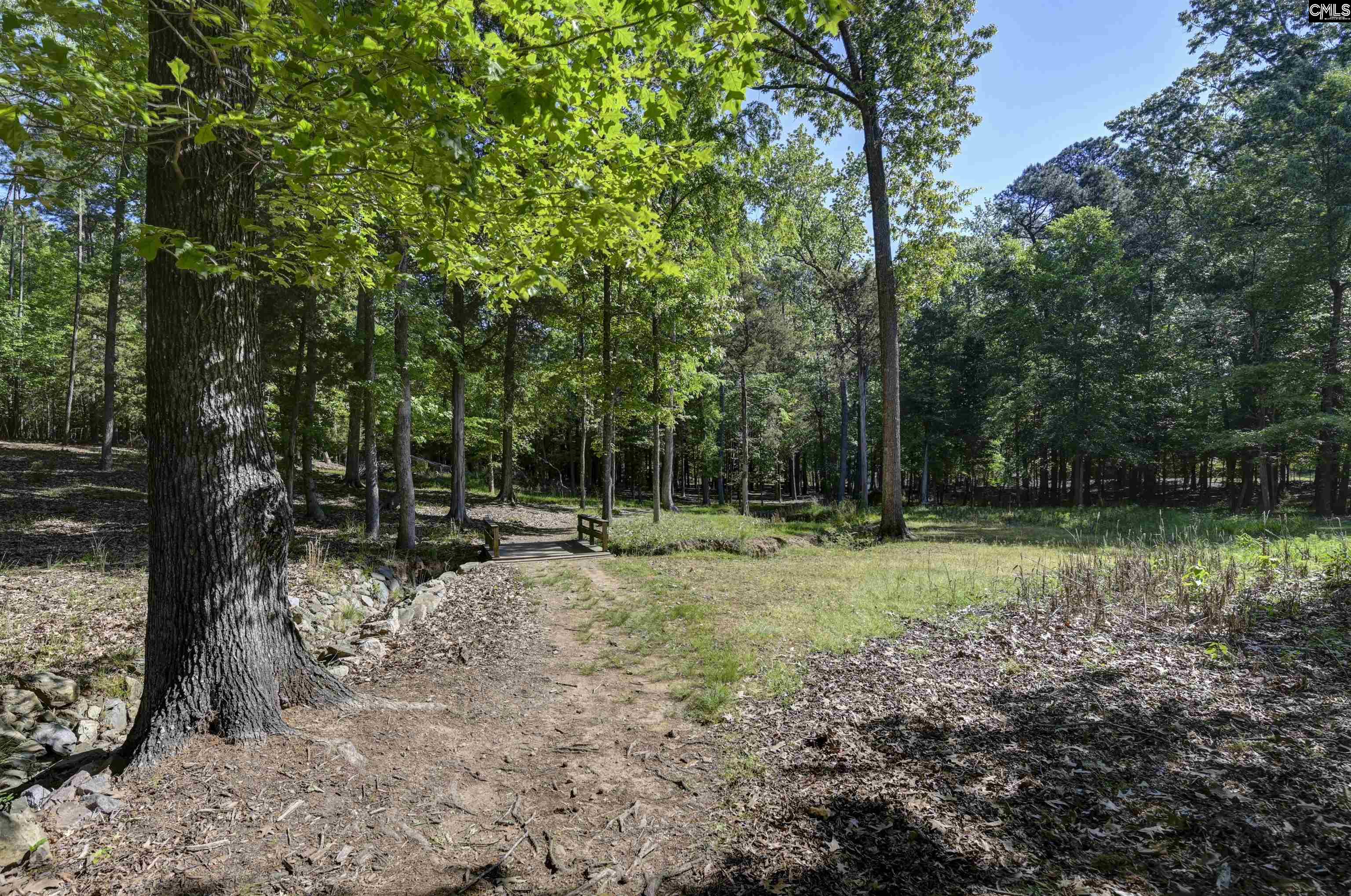 122 Lost Lure Lane Chapin, SC 29036