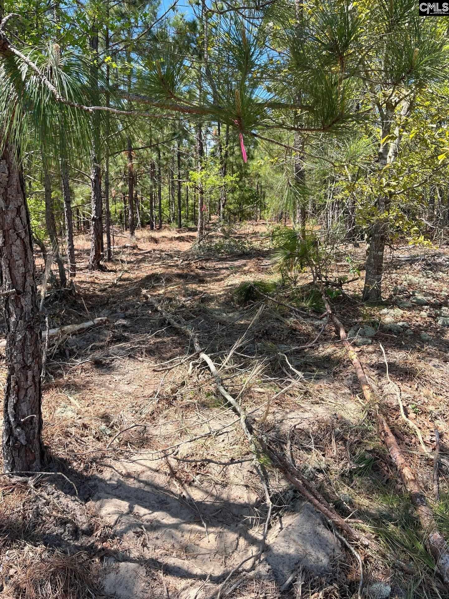 BDF 1 Beaverdam Road
