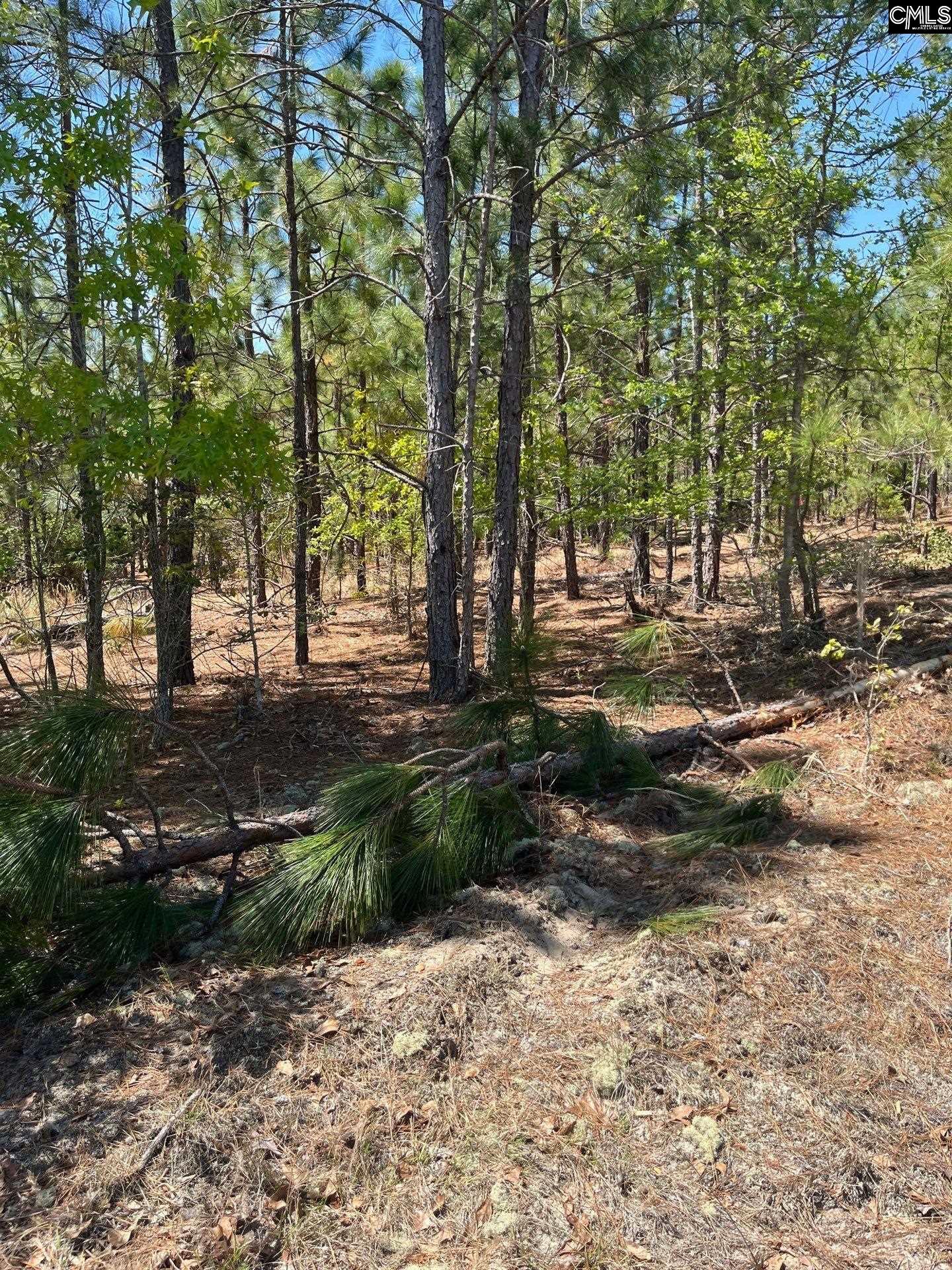 BDF 2 Beaverdam Road