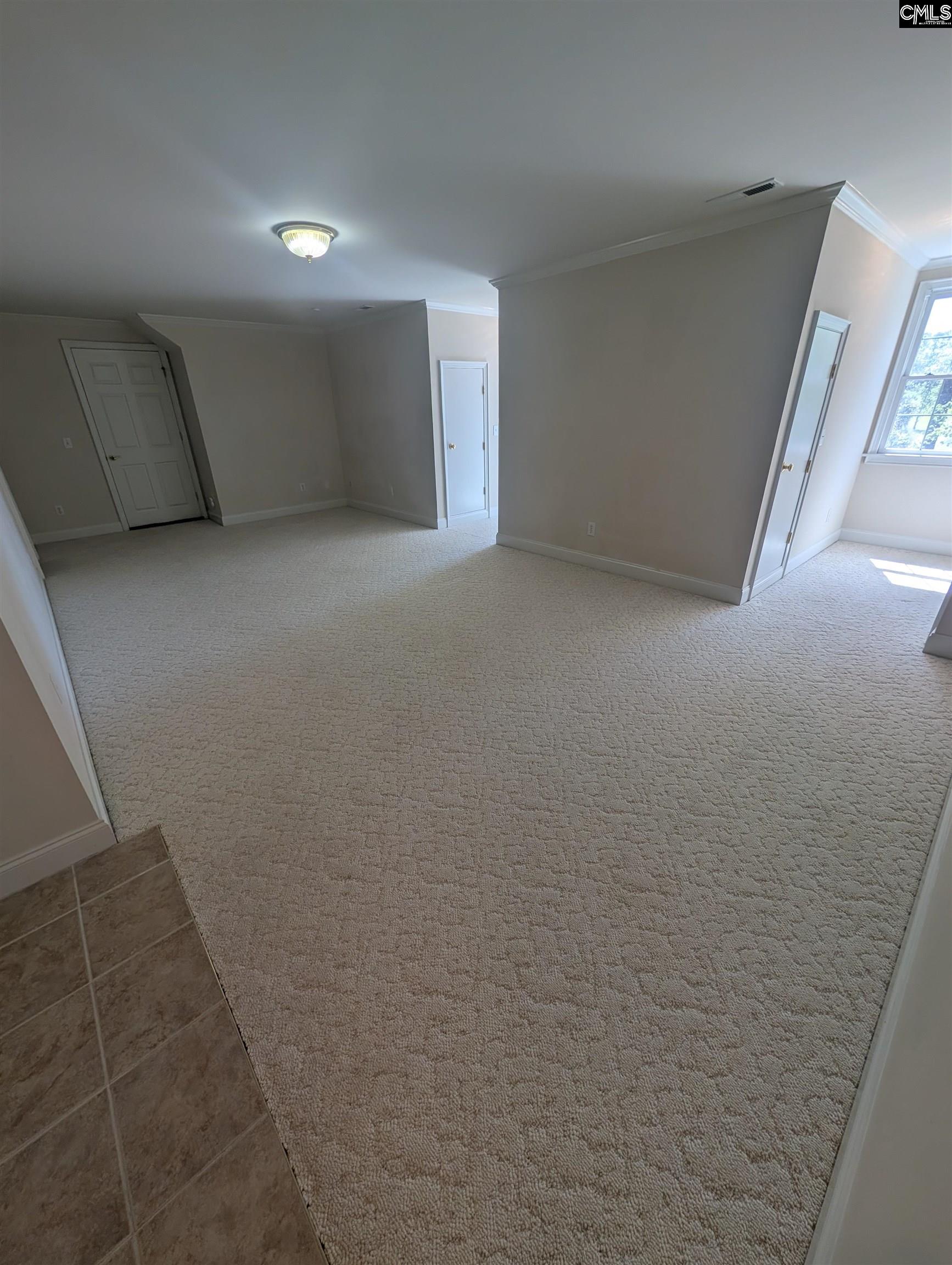 1121 Canterfield Road Chapin, SC 29036-8558