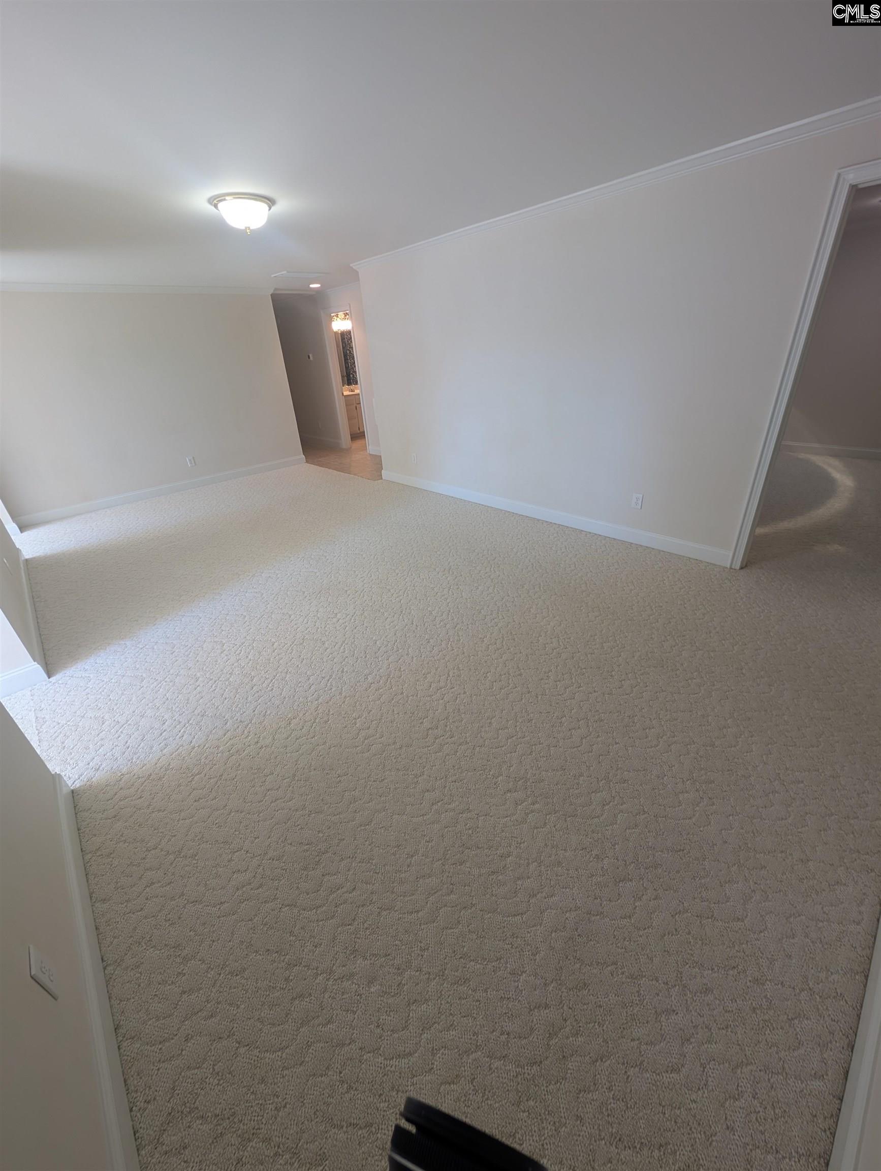 1121 Canterfield Road Chapin, SC 29036-8558
