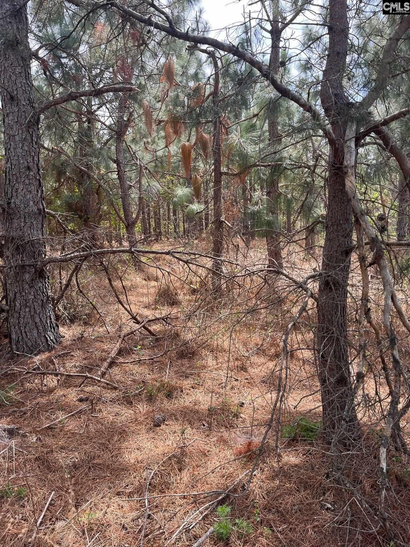 BDF 7 Beaverdam Road UNIT BDF 7 Cassatt, SC 29032