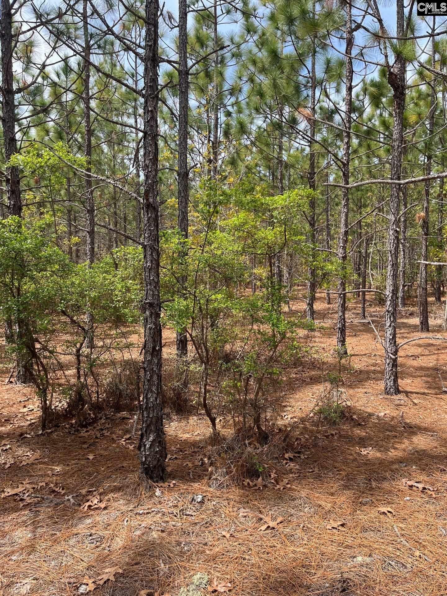 BDF 8 Beaverdam Road UNIT BDF 8 Cassatt, SC 29032
