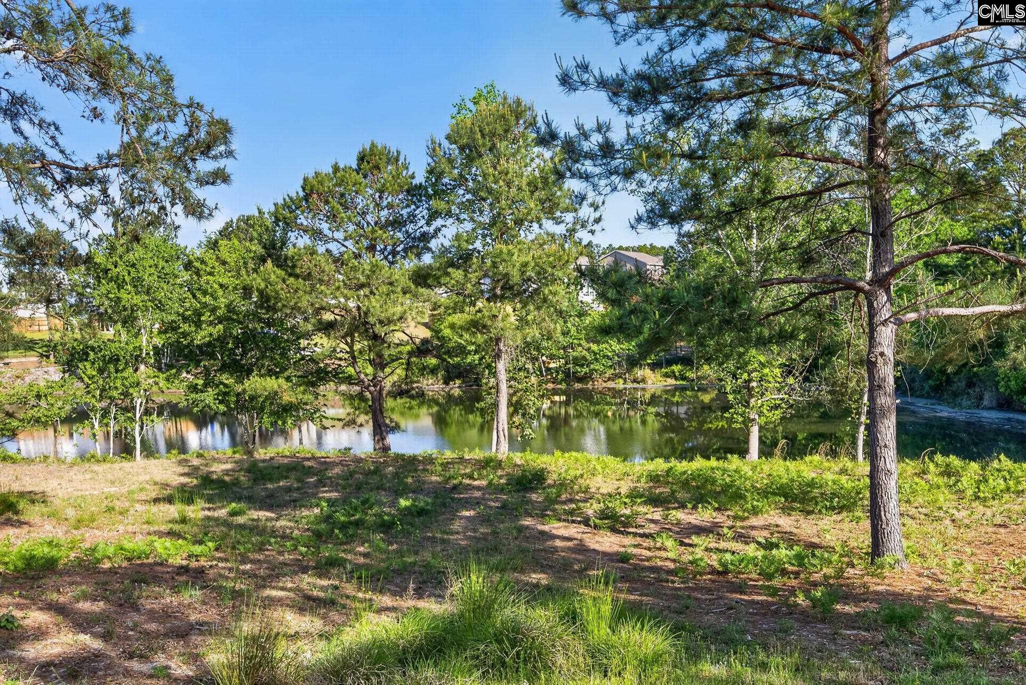 176 Southern Lake Court Camden, SC 29020