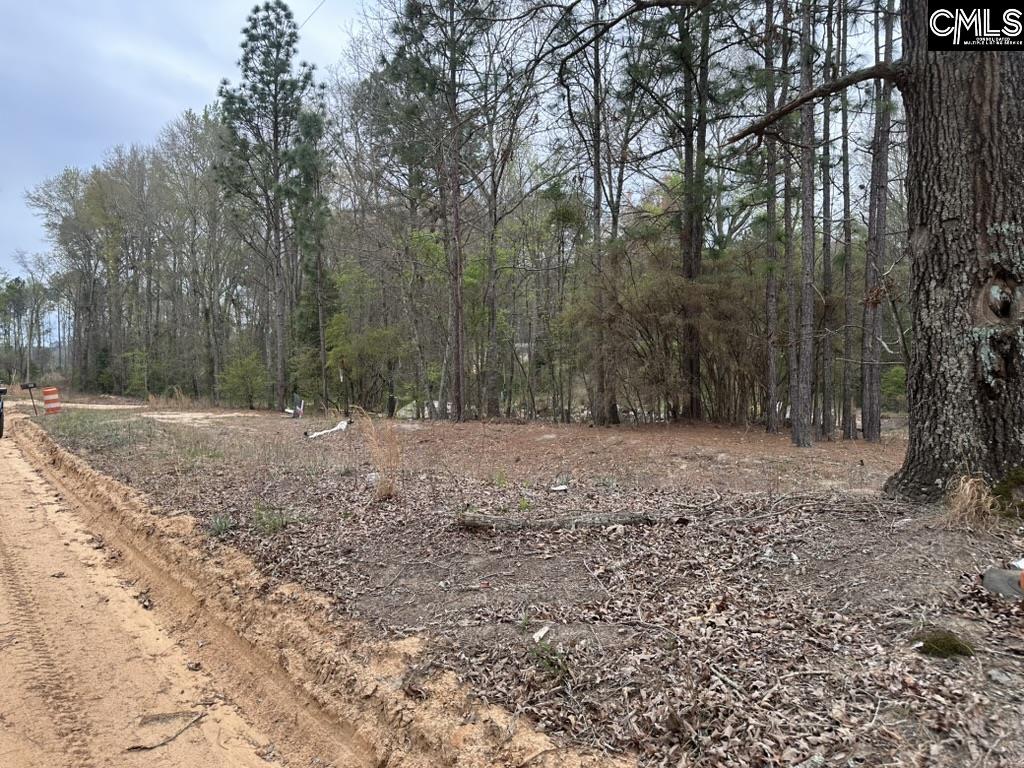 344 Terry Road Pelion, SC 29123