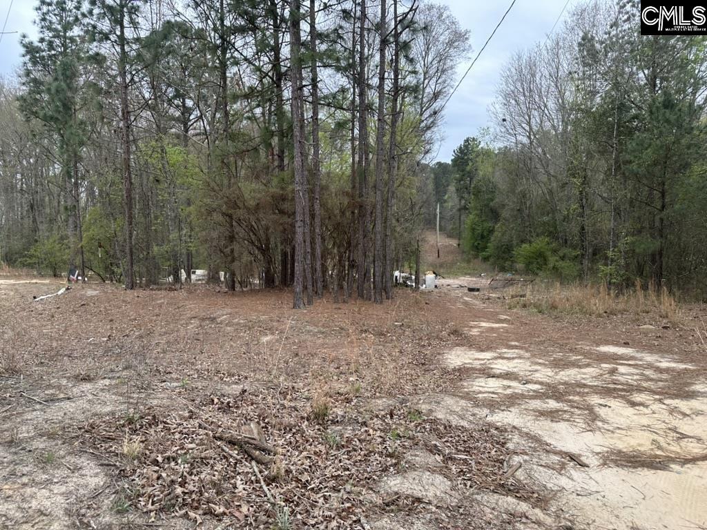 344 Terry Road Pelion, SC 29123