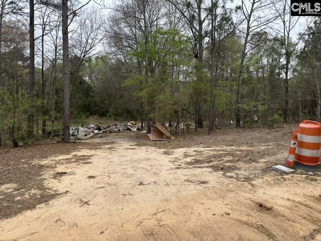 344 Terry Road Pelion, SC 29123