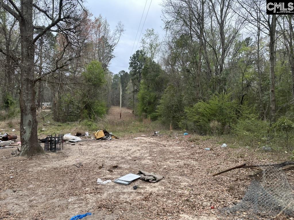 344 Terry Road Pelion, SC 29123