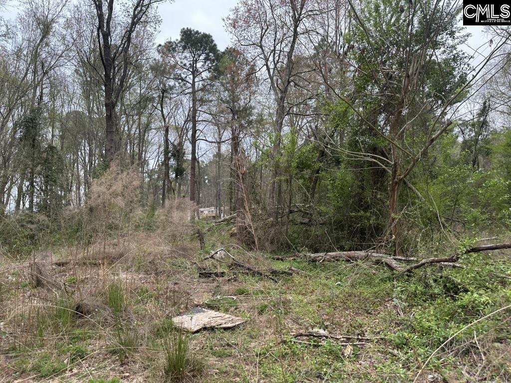 344 Terry Road Pelion, SC 29123