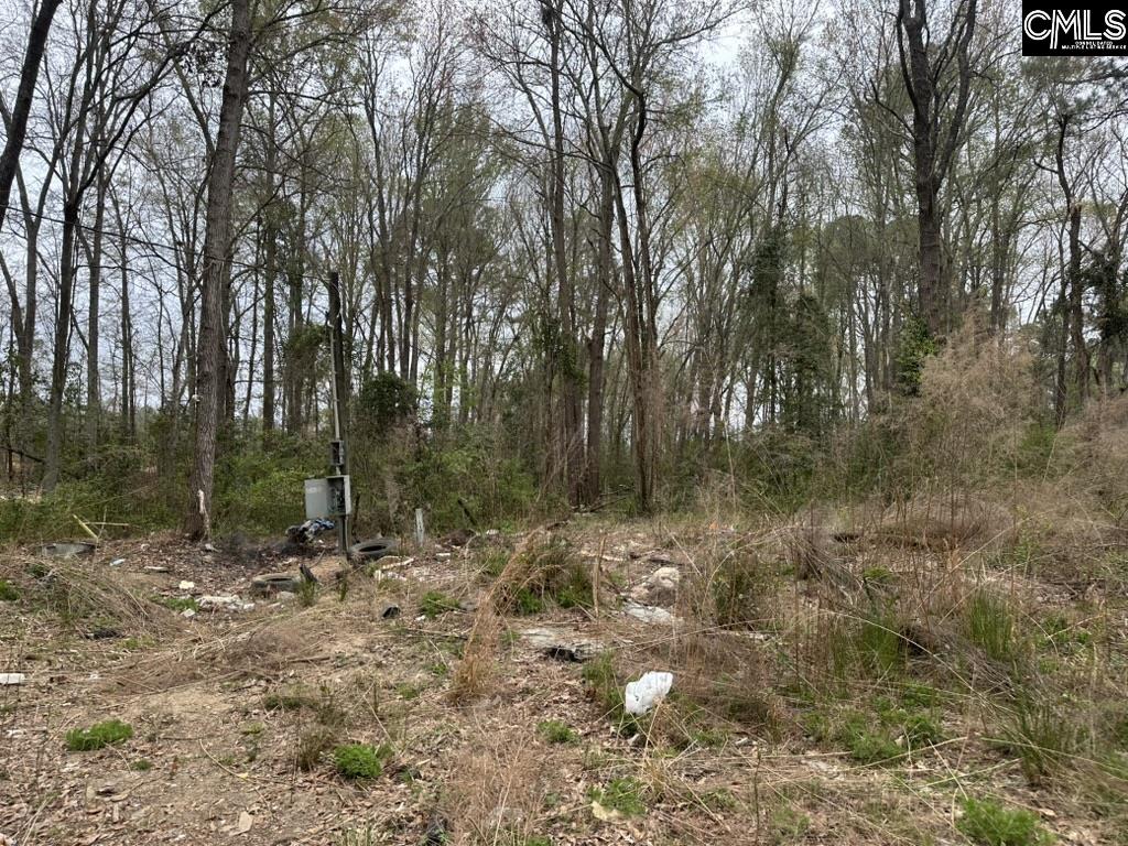 344 Terry Road Pelion, SC 29123