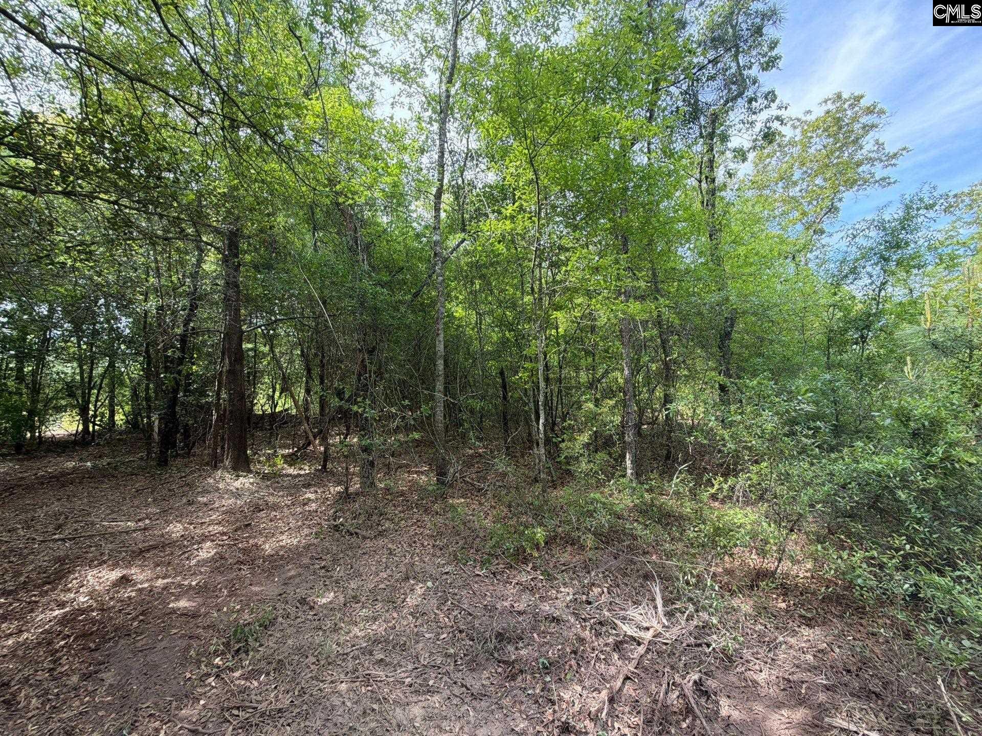 RRF 2 Rogers Cemetery Road UNIT RRF 2 Salley, SC 29137